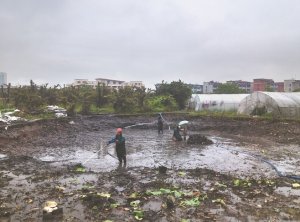 喀什河道鱼塘清淤